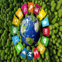 Nové nařízení o ekodesignu udržitelných výrobků